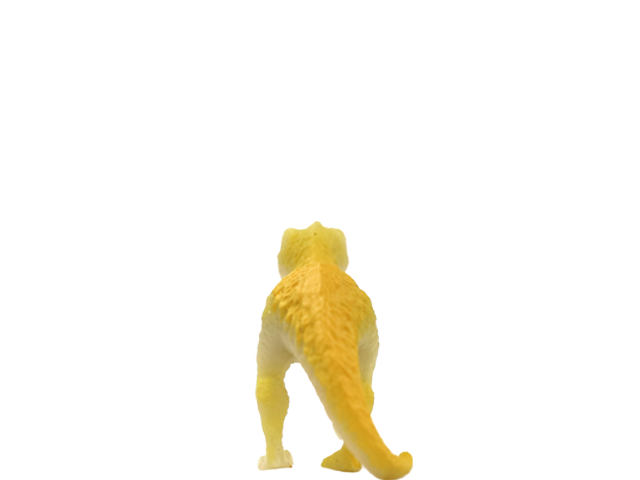 タルボサウルス
