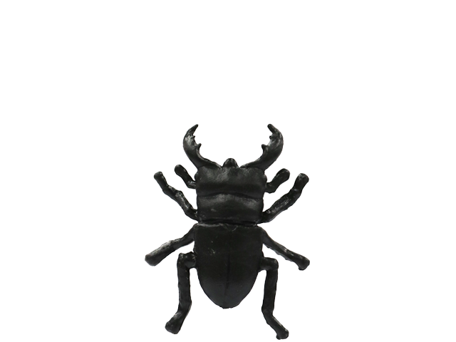 マレーヒラタクワガタ