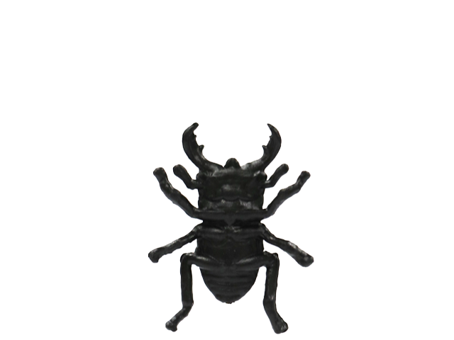 マレーヒラタクワガタ