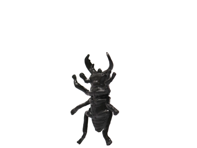 マレーヒラタクワガタ