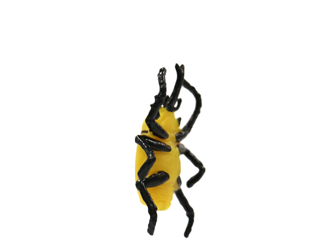 ゾウカブト