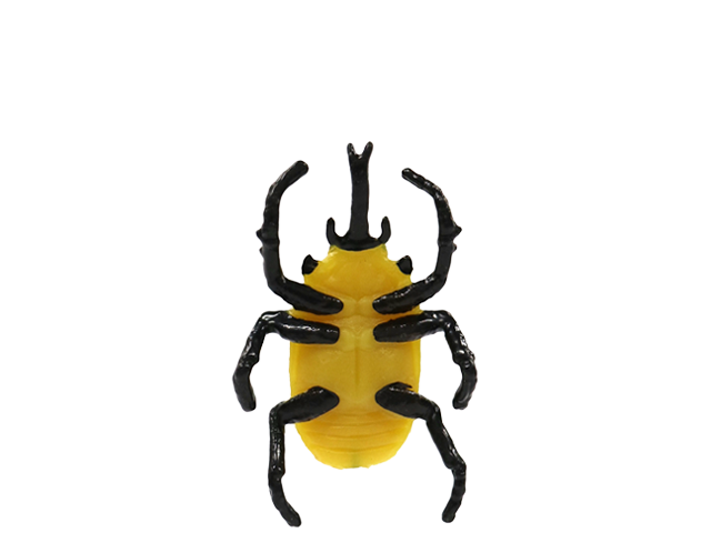 ゾウカブト